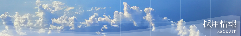 ₢