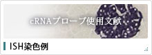�h�r�g���F��